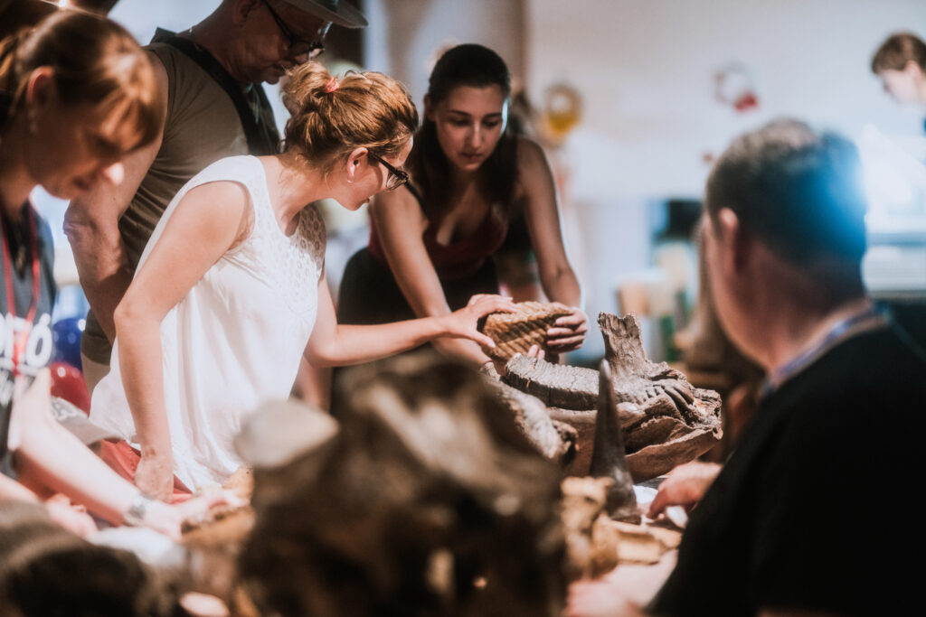 The Wrocław Workshop of Geology II