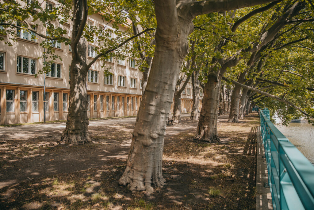 Zdjęcie budynku muzeum geologicznego.